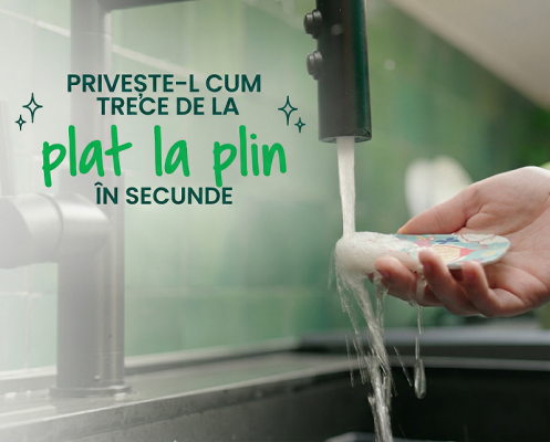 Bureti vase pop-up Scotch-Brite 3M, 3 bucati/pachet